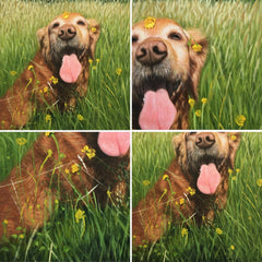 Custom Realistic Pet Portrait | Dog & Cat Lover Gifts | Personalized Oil Painting from Photo Horizontal